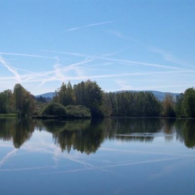 星空体育APPapp下载