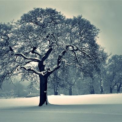 爱游戏app官方网站手机版