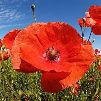 澳门第一娱乐娱城官网app下载