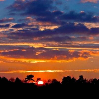 狗万官网手机app下载截图